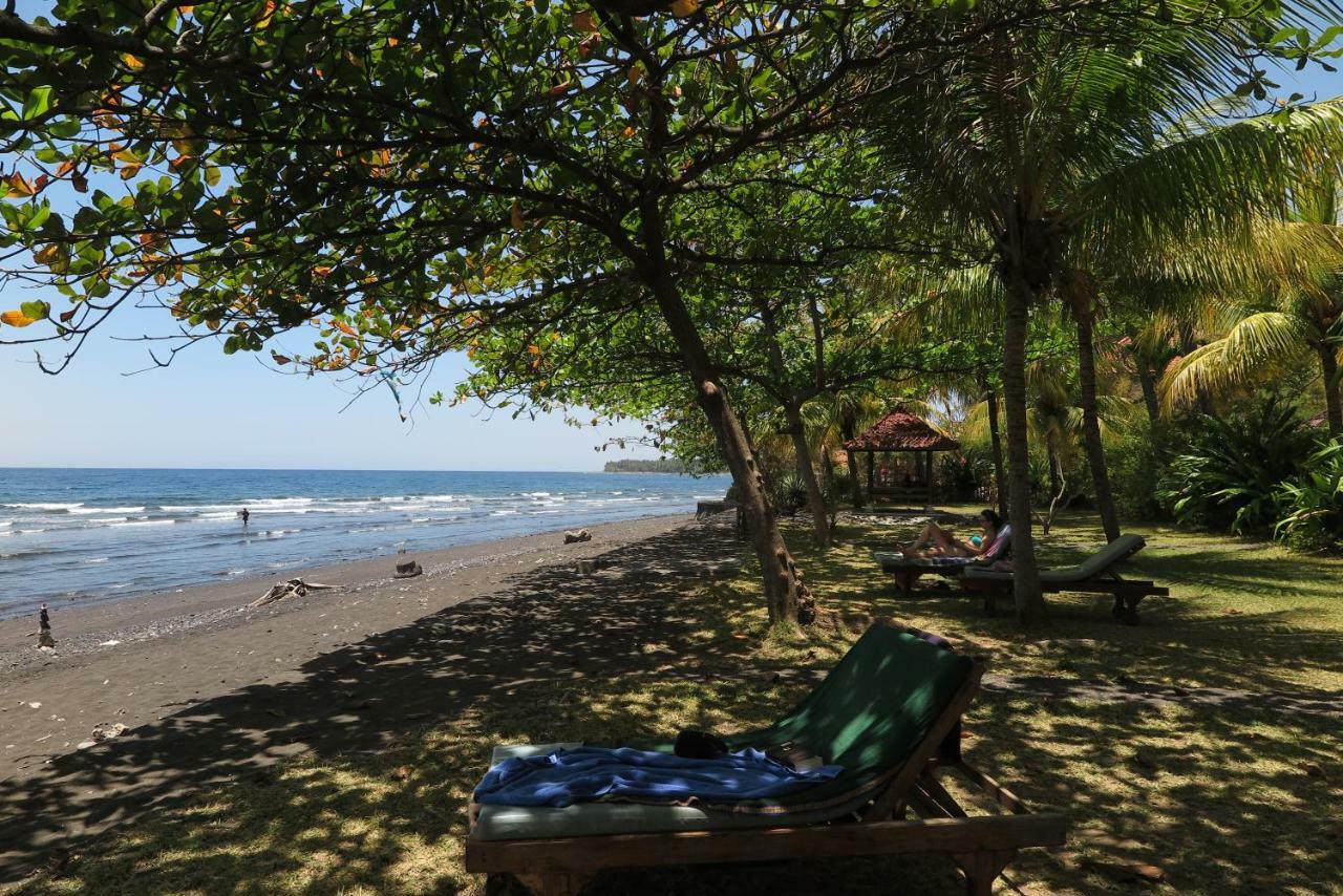 Bali Sandat Tejakula Exterior photo