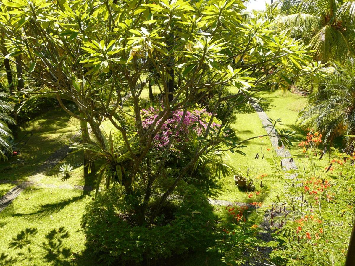 Bali Sandat Tejakula Exterior photo