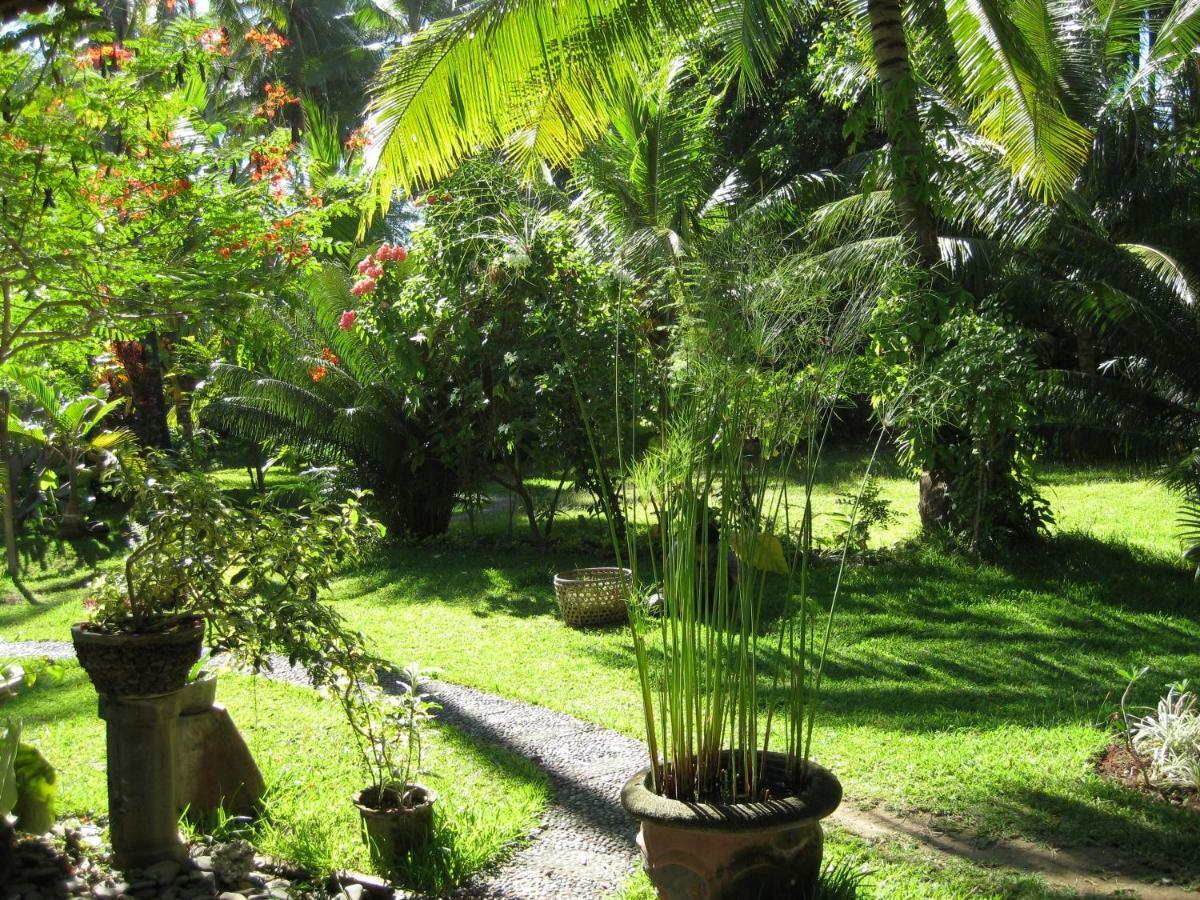 Bali Sandat Tejakula Exterior photo